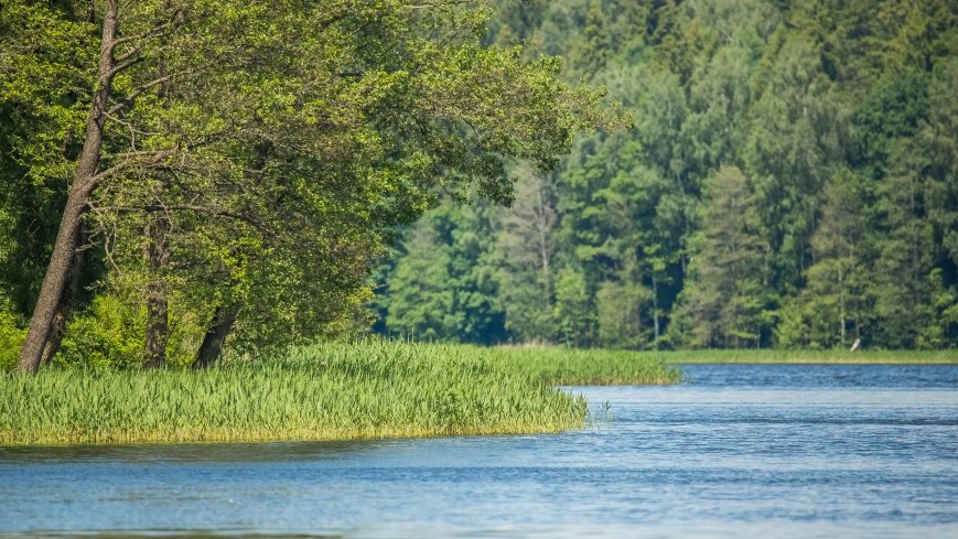 Jezioro Gołdap - zdjęcie 1