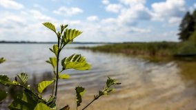 Jezioro Tuchlin - zdjęcie 21