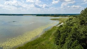 Jezioro Tuchlin - zdjęcie 16