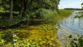 Jezioro Tuchlin - zdjęcie 14