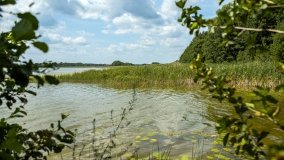 Jezioro Tuchlin - zdjęcie 11