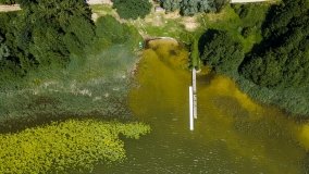 Jezioro Tuchlin - zdjęcie 5