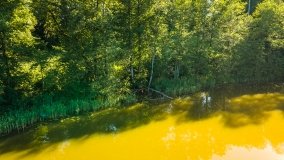 Jezioro Głębokie - zdjęcie 5