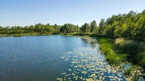 Jezioro Boczne k. Olecka - zdjęcie 11