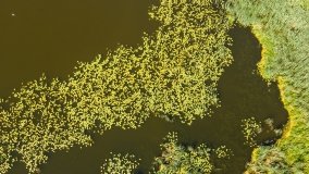 Jezioro Boczne k. Olecka - zdjęcie 5