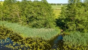 Jezioro Boczne k. Olecka - zdjęcie 2