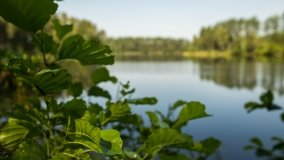 Jezioro Białe k. Wydmin - zdjęcie 17