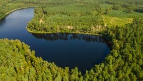 Jezioro Białe k. Wydmin - zdjęcie 12