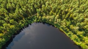 Jezioro Białe k. Wydmin - zdjęcie 11