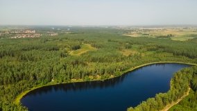 Jezioro Białe k. Wydmin - zdjęcie 7