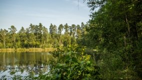 Jezioro Białe k. Wydmin - zdjęcie 6