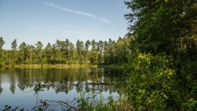 Jezioro Białe k. Wydmin - zdjęcie 5