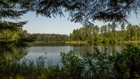 Jezioro Białe k. Wydmin - zdjęcie 4