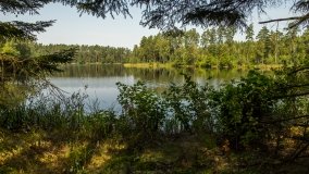 Jezioro Białe k. Wydmin - zdjęcie 3