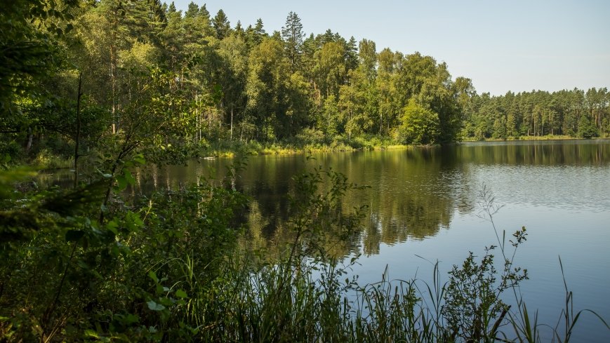 Jezioro Białe k. Wydmin - zdjęcie 1