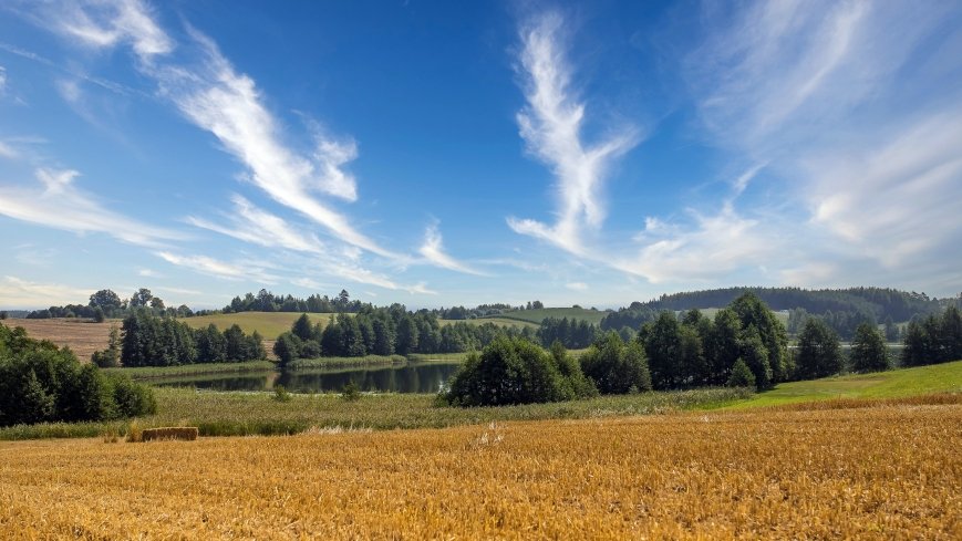 Jezioro Byczek - zdjęcie 1