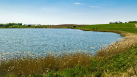 Jezioro Upałckie Małe - zdjęcie 13