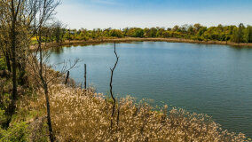 Jezioro Rudzkie Małe - zdjęcie 16