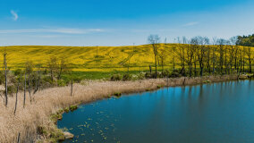 Jezioro Rudzkie Małe - zdjęcie 12