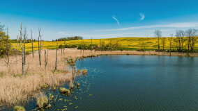 Jezioro Rudzkie Małe - zdjęcie 10