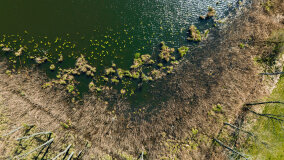 Jezioro Rudzkie Małe - zdjęcie 9