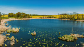 Jezioro Rudzkie Małe - zdjęcie 8