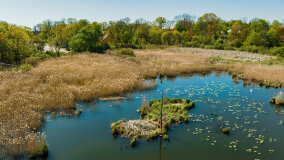 Jezioro Rudzkie Małe - zdjęcie 6