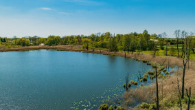 Jezioro Rudzkie Małe - zdjęcie 4