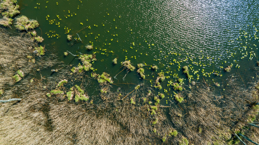 Jezioro Rudzkie Małe - zdjęcie 1