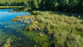 Jezioro Patelnia - zdjęcie 44