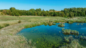 Jezioro Patelnia - zdjęcie 30