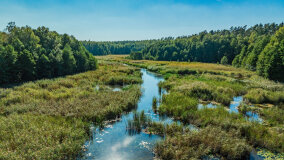Jezioro Patelnia - zdjęcie 27