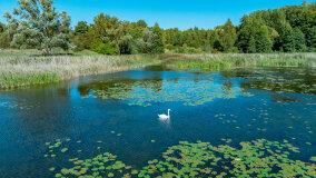 Jezioro Patelnia - zdjęcie 19