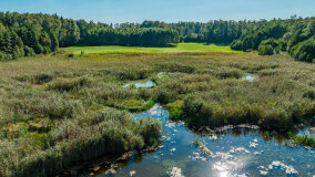 Jezioro Patelnia - zdjęcie 18