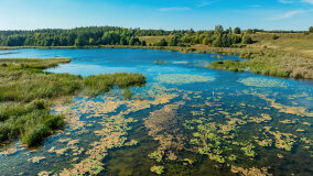 Jezioro Patelnia - zdjęcie 16