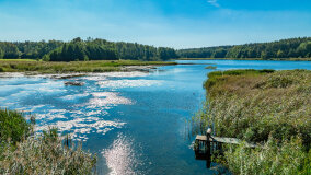 Jezioro Patelnia - zdjęcie 14