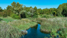 Jezioro Patelnia - zdjęcie 8