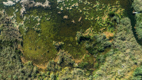 Jezioro Patelnia - zdjęcie 7