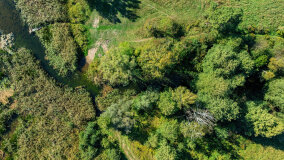 Jezioro Patelnia - zdjęcie 5