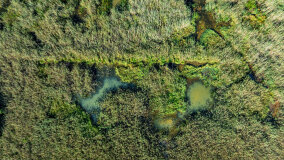 Jezioro Patelnia - zdjęcie 4