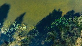 Jezioro Patelnia - zdjęcie 3