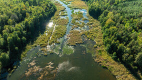 Jezioro Patelnia - zdjęcie 2