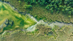 jezioro Wojsak - zdjęcie 21