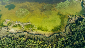 jezioro Wojsak - zdjęcie 17