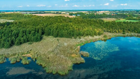 jezioro Wojsak - zdjęcie 12