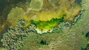 jezioro Wojsak - zdjęcie 11