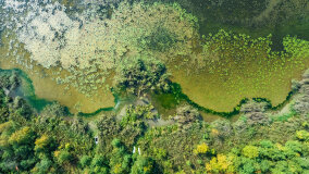 jezioro Wojsak - zdjęcie 8