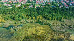 jezioro Wojsak - zdjęcie 7