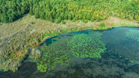jezioro Wojsak - zdjęcie 4