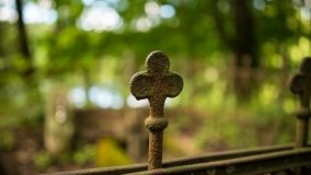 Jezioro Niecponek - zdjęcie 21